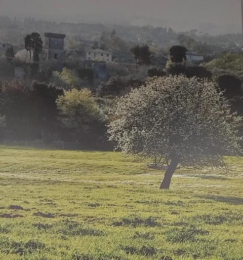 paesaggio della campagna di Formello