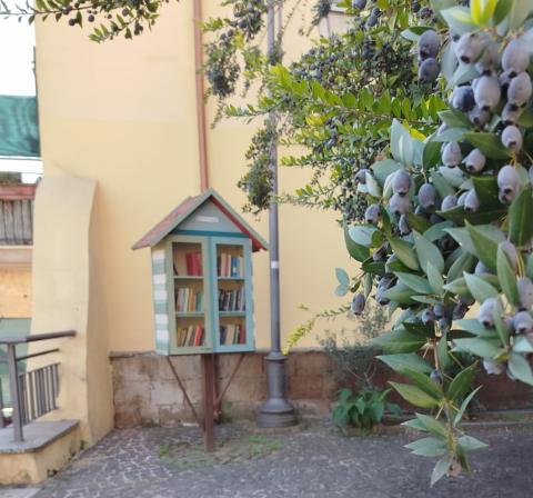 Casetta dei libri di Formello