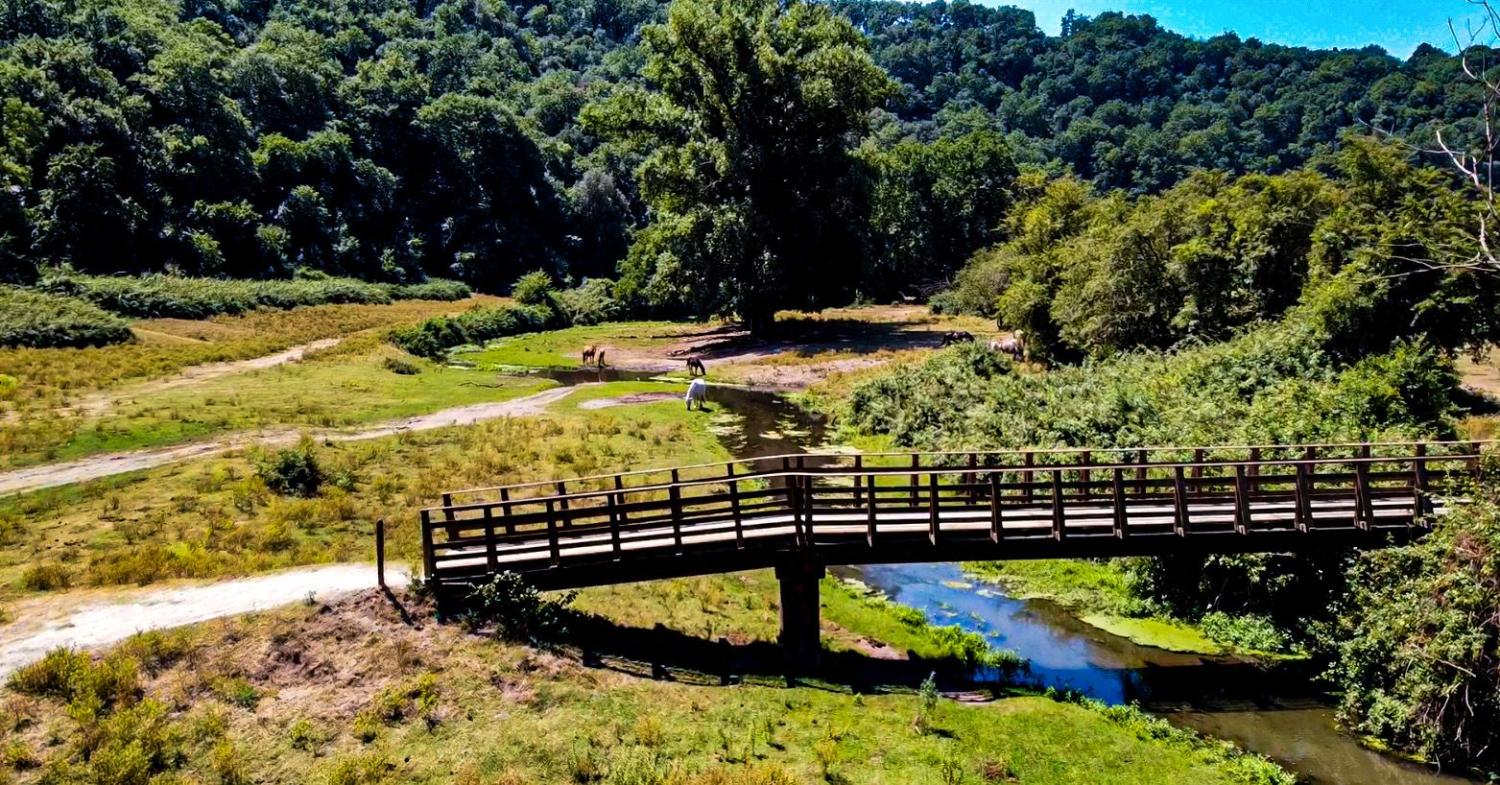 la valle del sorbo