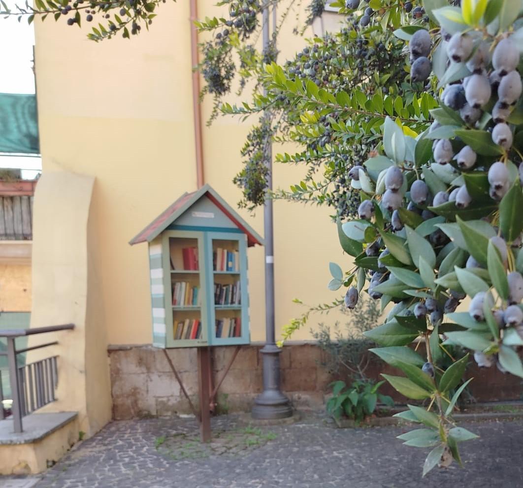 Casetta dei libri di Formello